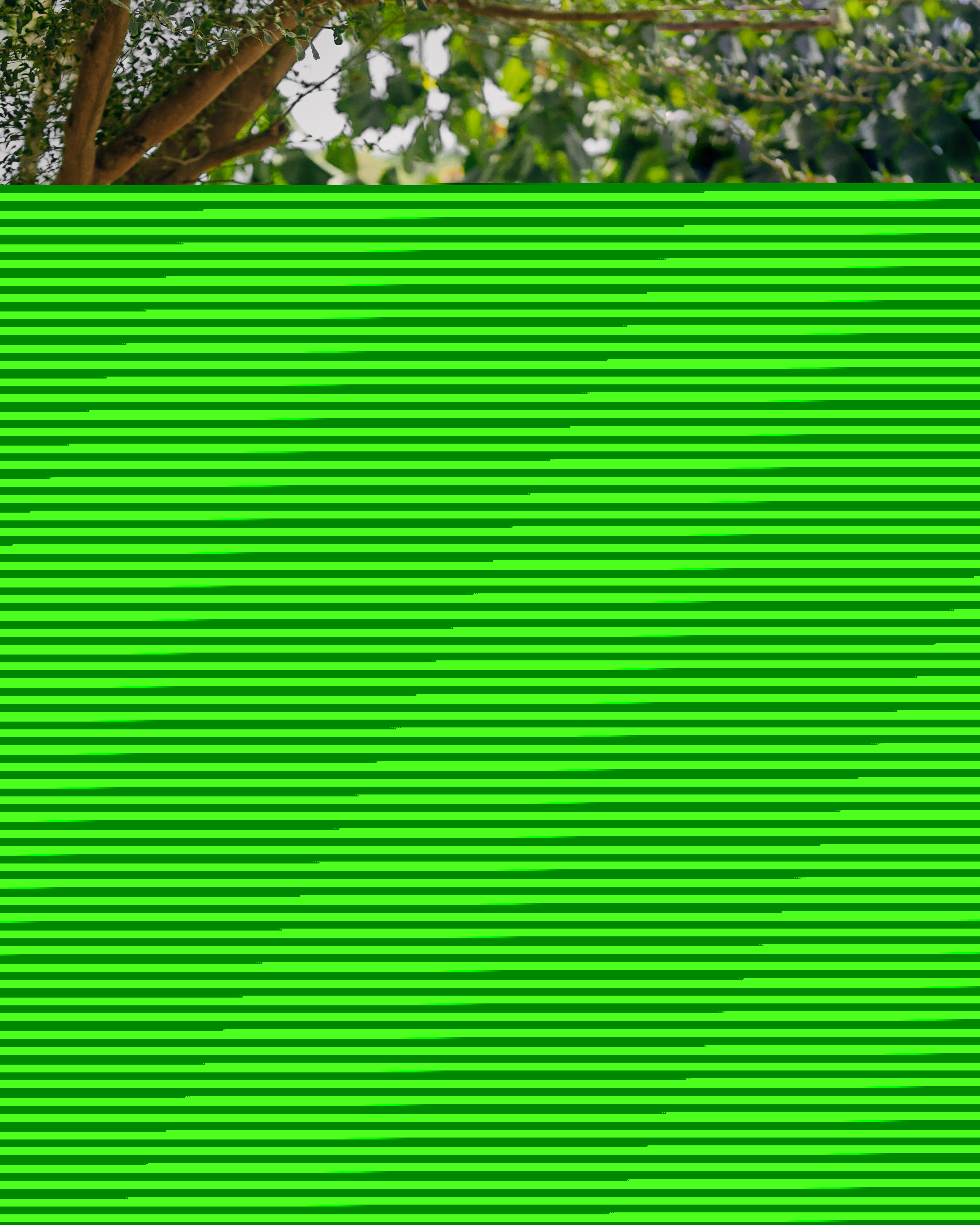 Florence and Jeremiah